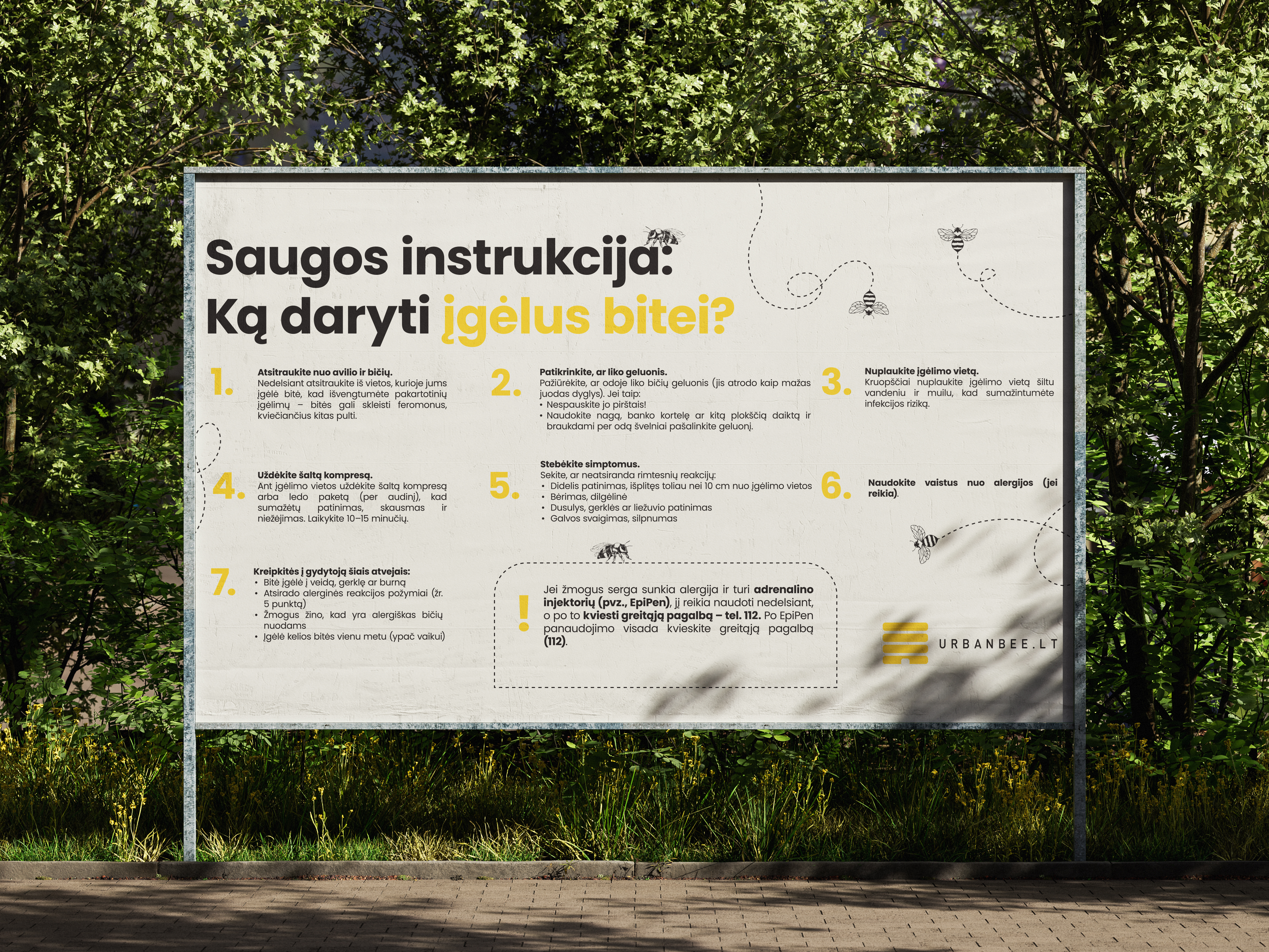 Apie bites brošiūros dizainas